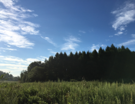 &#20113;&#39030;&#38598;&#22242;&#51;&#49;&#49;&#56;