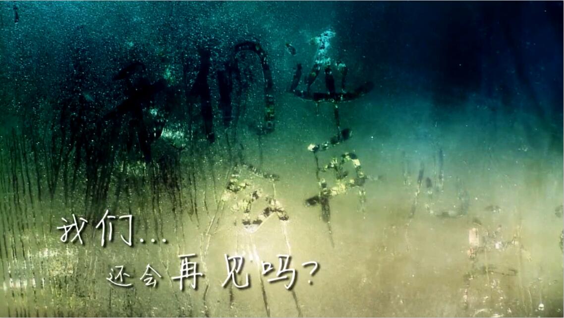 &#20113;&#39030;&#38598;&#22242;&#51;&#49;&#49;&#56;